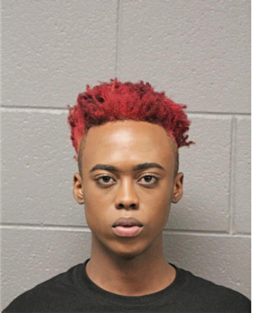 NKOSI N HAMPTON, Cook County, Illinois