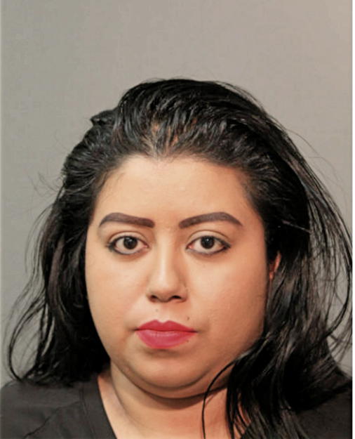 VIRIDIANA HERNANDEZ, Cook County, Illinois