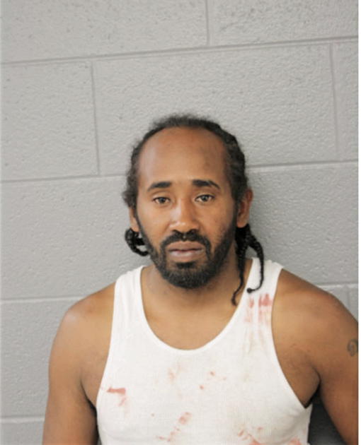 BRUCE JOHNSON, Cook County, Illinois