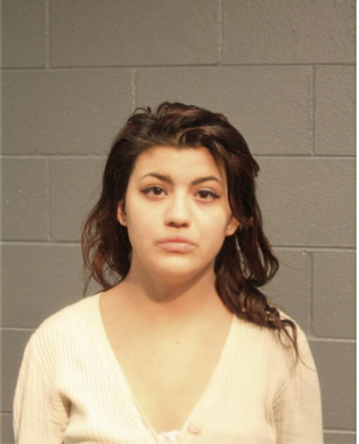 SANDRA L GARCIA, Cook County, Illinois