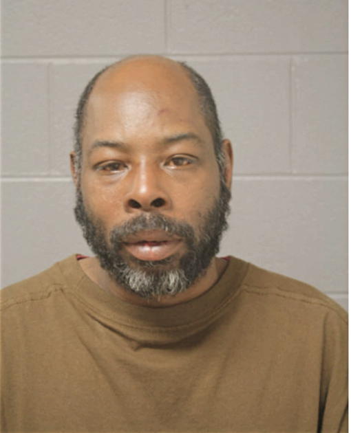 STEVEN E LEWIS, Cook County, Illinois