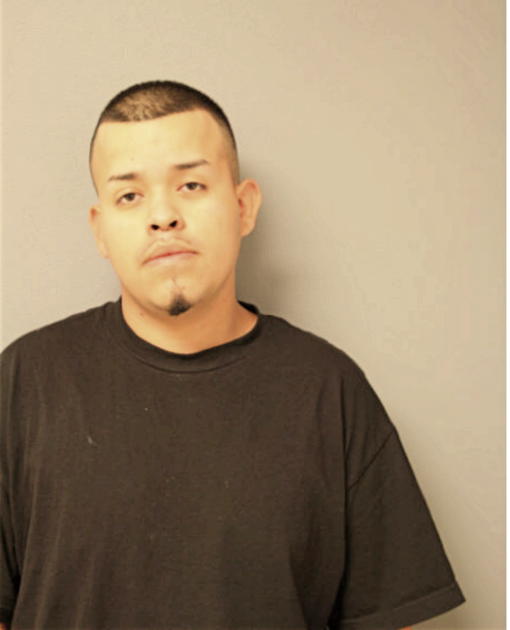 MISAEL D LOPEZ, Cook County, Illinois