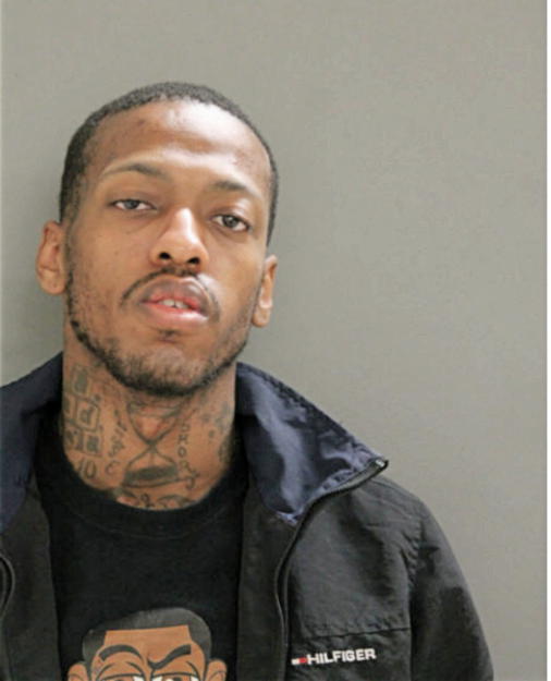 DAMION D MARTIN, Cook County, Illinois