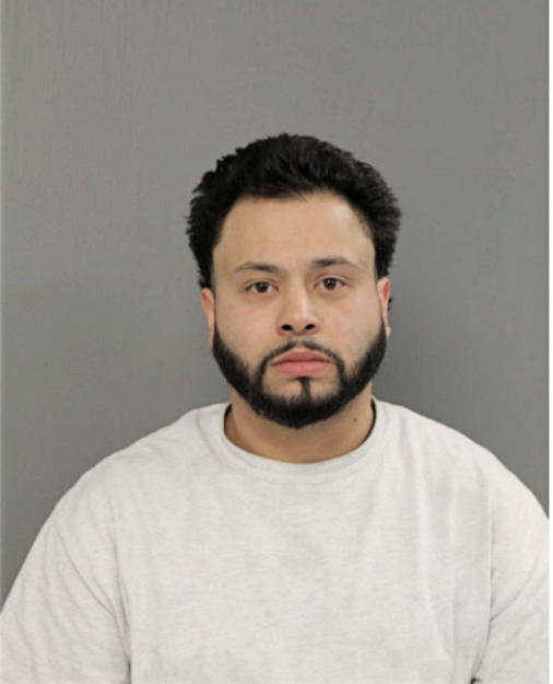 LUIS G MIRANDA, Cook County, Illinois