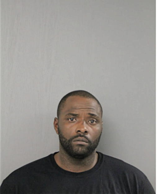 STEVEN M MITCHELL, Cook County, Illinois