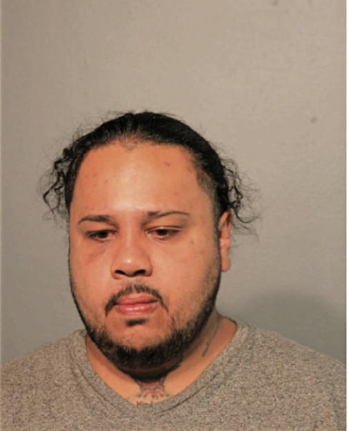 LUIS A MONTANEZ, Cook County, Illinois