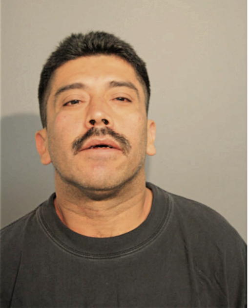 FEDERICO S NAVARRO, Cook County, Illinois