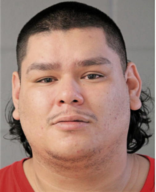 JUAN C OCHOA, Cook County, Illinois