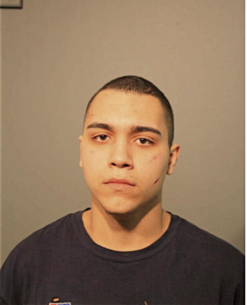 LUIS E OFRAY, Cook County, Illinois