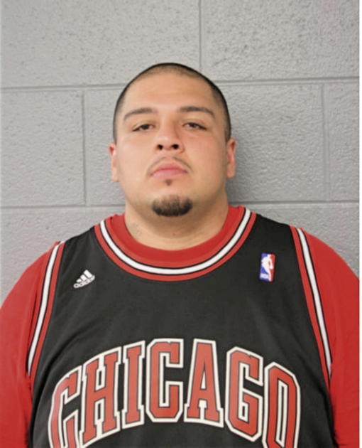 JAMES M ORTONEDA, Cook County, Illinois