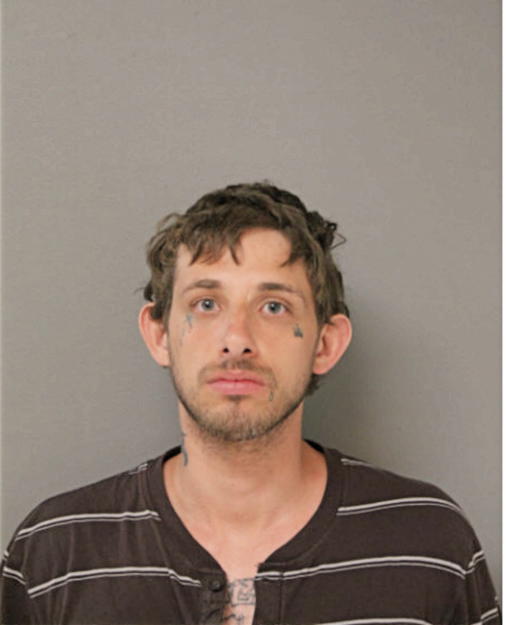 ANTHONY PALAGGI, Cook County, Illinois