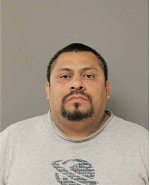 JOSE A PATRICIO, Cook County, Illinois