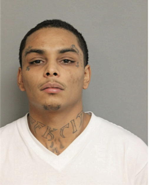 PERRY D PERKINS, Cook County, Illinois