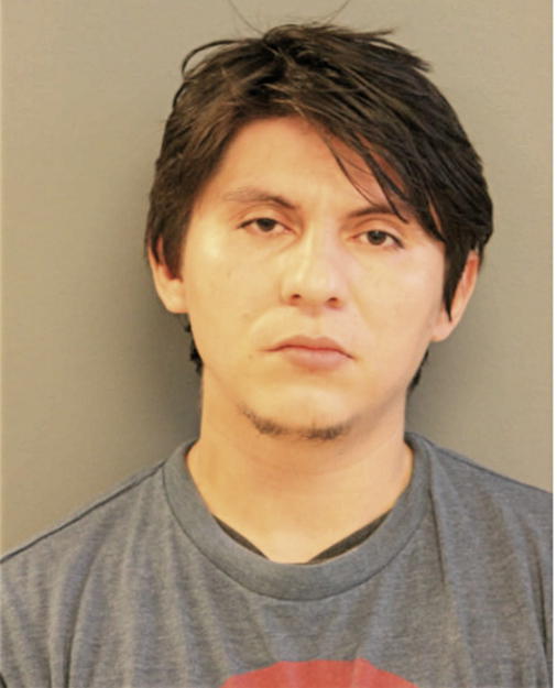 HECTOR O RAMOS, Cook County, Illinois