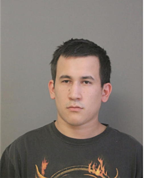 CESAR O ROMAN, Cook County, Illinois