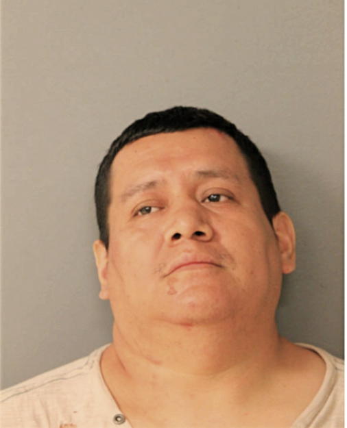 MANUEL A SALDANA, Cook County, Illinois
