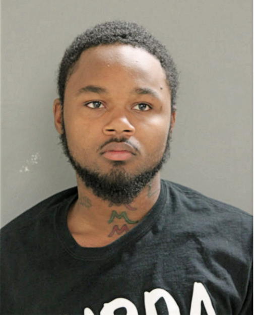 CHRISTOPHER A SINGLETON, Cook County, Illinois