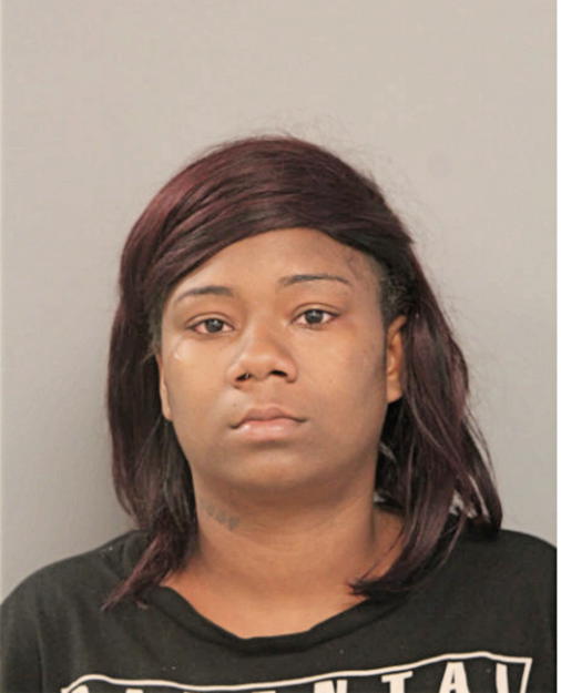 THERESA TIMBERLAKE, Cook County, Illinois