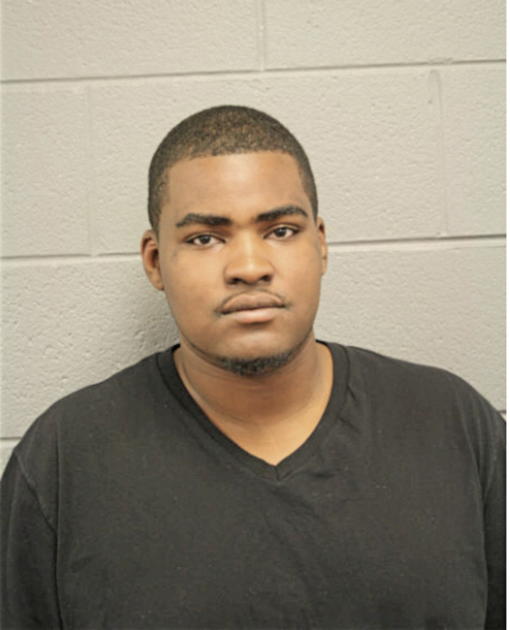 AARON R WHITE, Cook County, Illinois