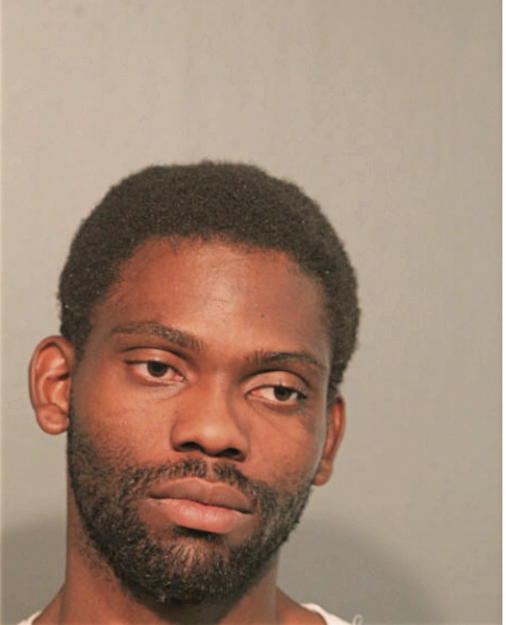 LAMONT W WILKERSON, Cook County, Illinois