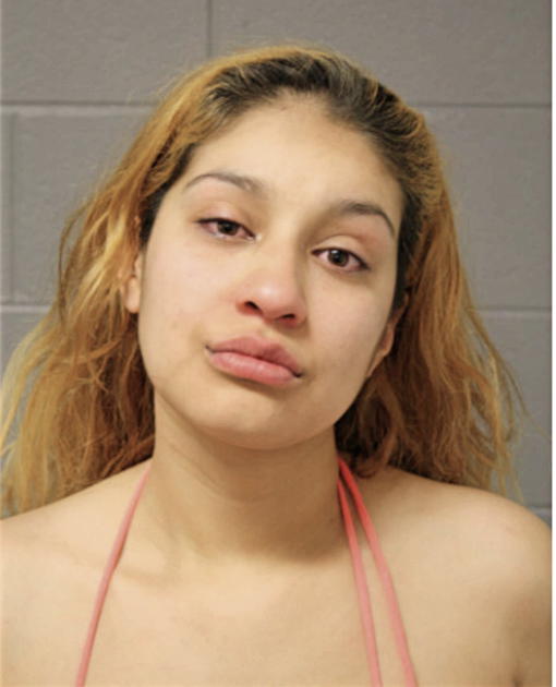 ANGELICA N ZEPEDA, Cook County, Illinois