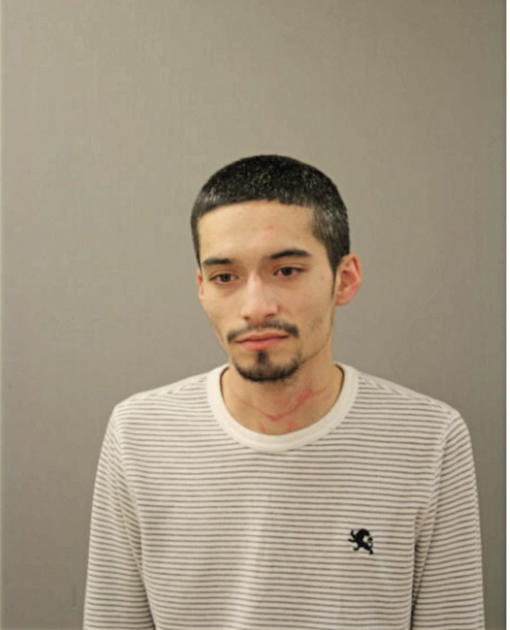 MARCOS ALARCON, Cook County, Illinois