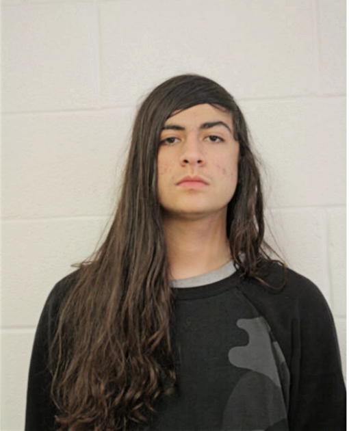JOEL ALDAMA, Cook County, Illinois