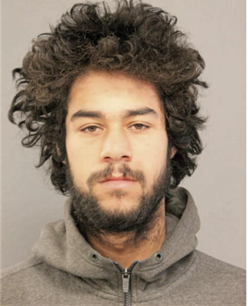 RAYMOND L ANDREWS, Cook County, Illinois