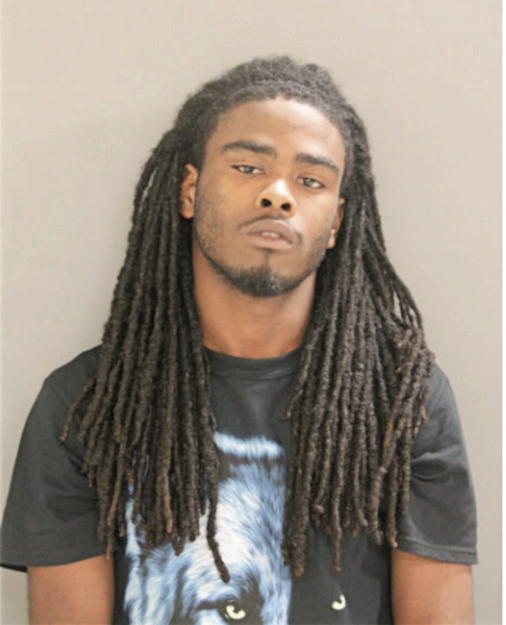 LEE D CAMERON, Cook County, Illinois