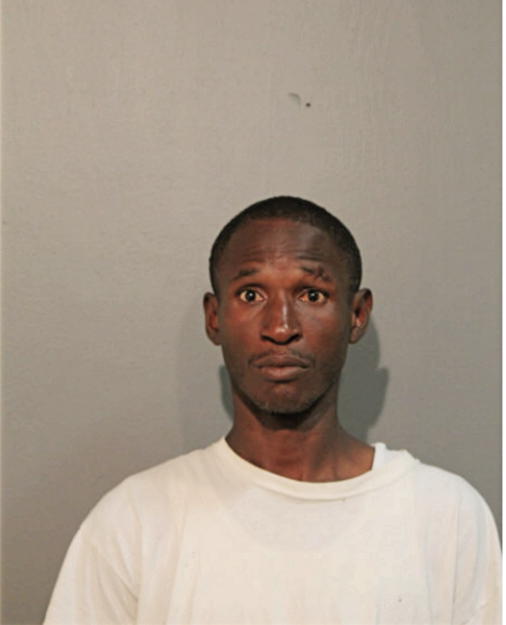 BRUCE R FRY, Cook County, Illinois