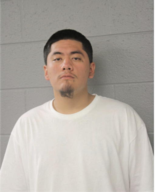 SERGIO GONZALEZ, Cook County, Illinois