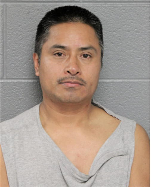 FERNANDO HERNANDEZ-DOMINGUEZ, Cook County, Illinois