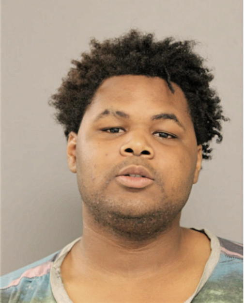 JOSHUA L JONES, Cook County, Illinois