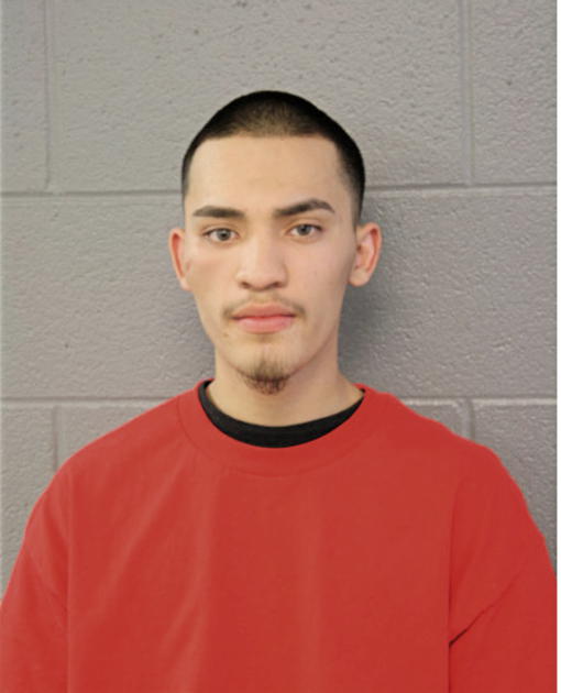 JOSE L JUAREZ, Cook County, Illinois