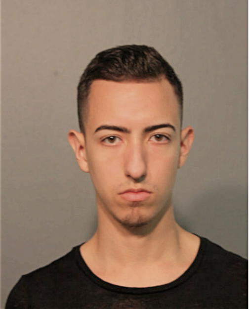 REINALDO A LOPEZ, Cook County, Illinois
