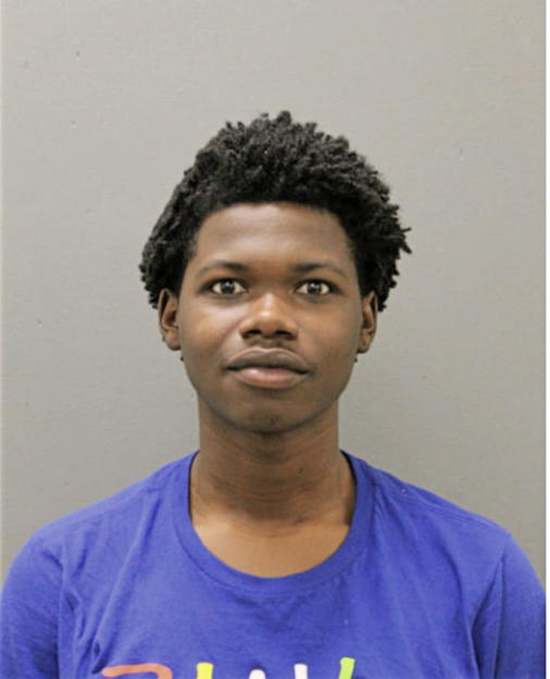 TERRANCE L MCGRAW, Cook County, Illinois