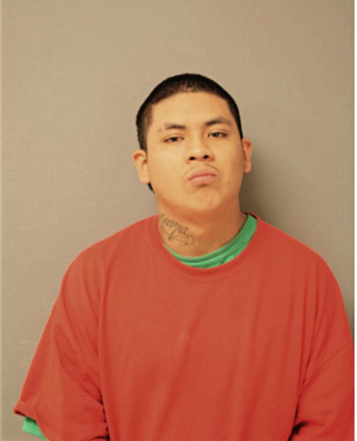ROBERTO MENDOZA, Cook County, Illinois