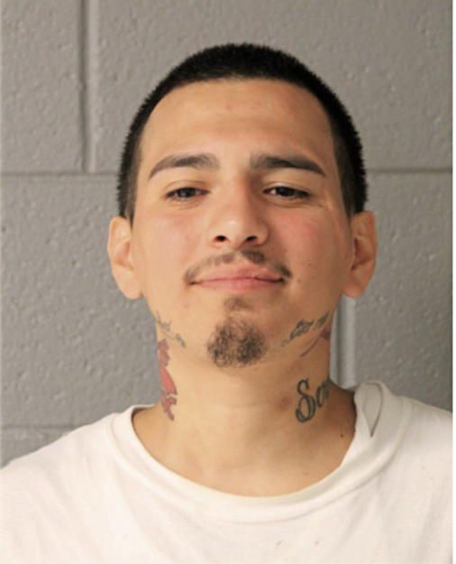 ENRIQUE NAPOLES, Cook County, Illinois