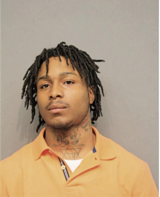 DION R NEWMAN, Cook County, Illinois