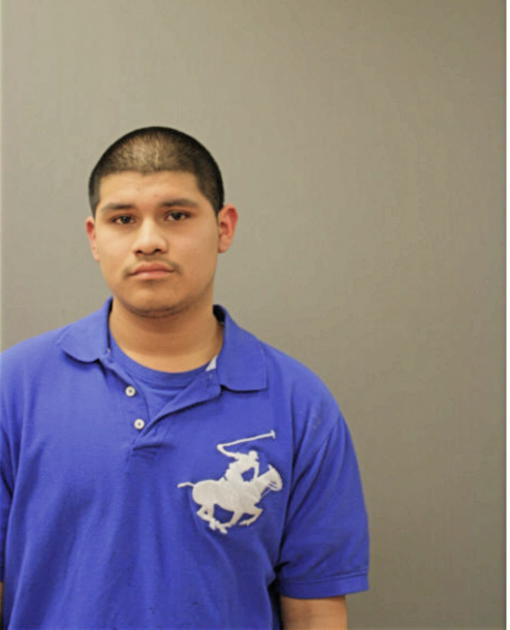 DANIEL ORTEGA, Cook County, Illinois