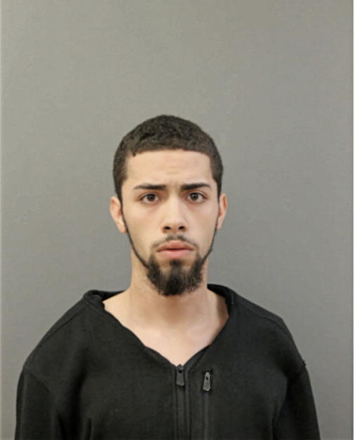 EDGAR J PENA, Cook County, Illinois