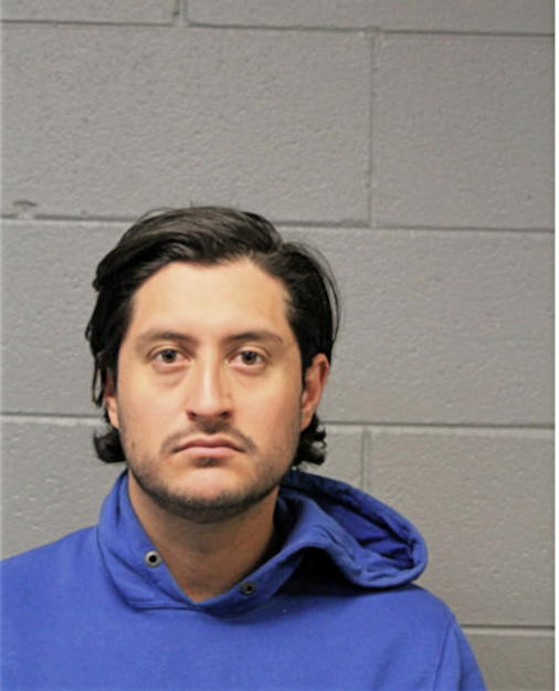 HECTOR SEBASTIAN PUENTE, Cook County, Illinois