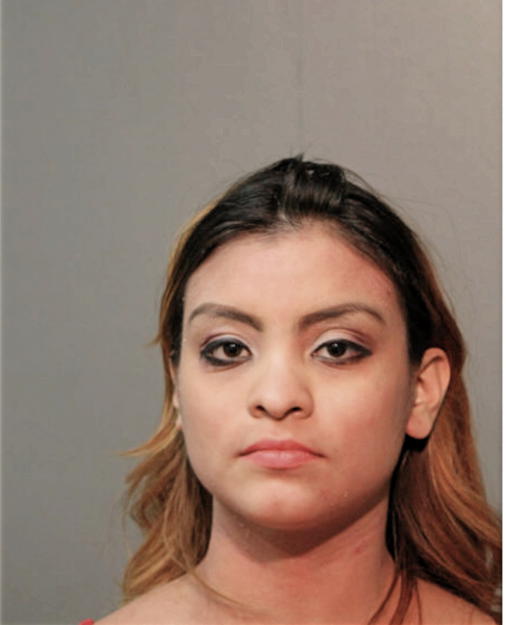 ELIZABETH REYES, Cook County, Illinois