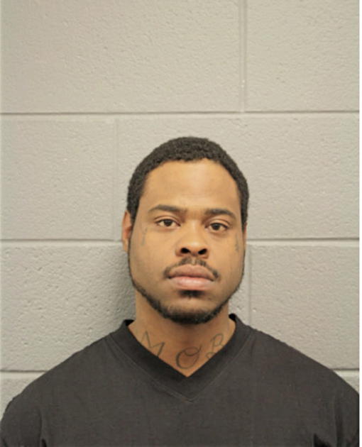 MICHAEL D RICH, Cook County, Illinois