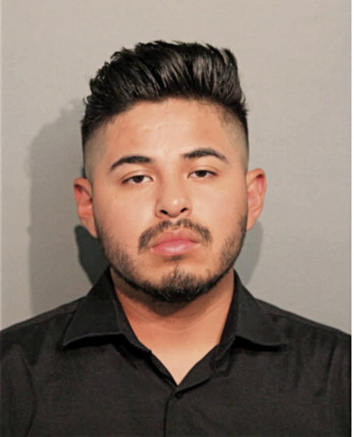 JANONY E VILLARREAL, Cook County, Illinois