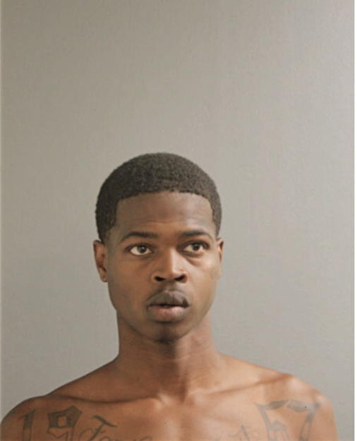 CHRISTOPHER L WIMES, Cook County, Illinois