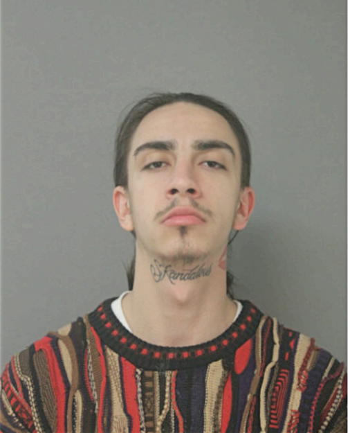 JOSHUA J A FERNANDEZ, Cook County, Illinois