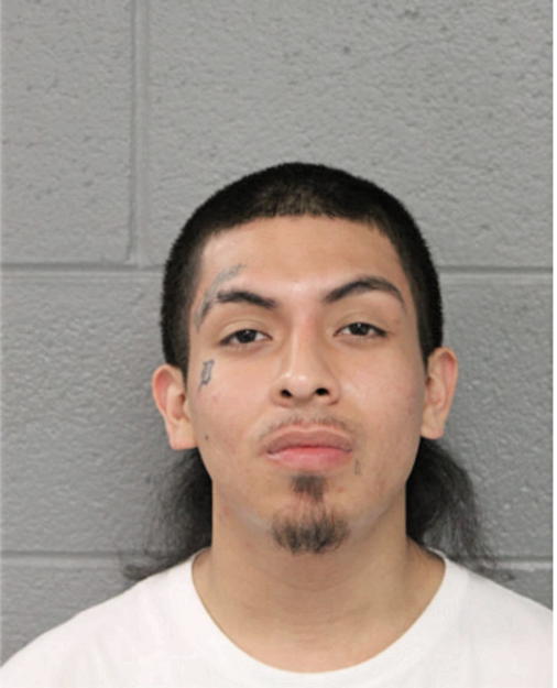 ERWIGN DELGADO, Cook County, Illinois