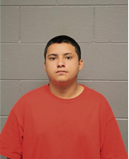 EDWIN A DIAZ, Cook County, Illinois
