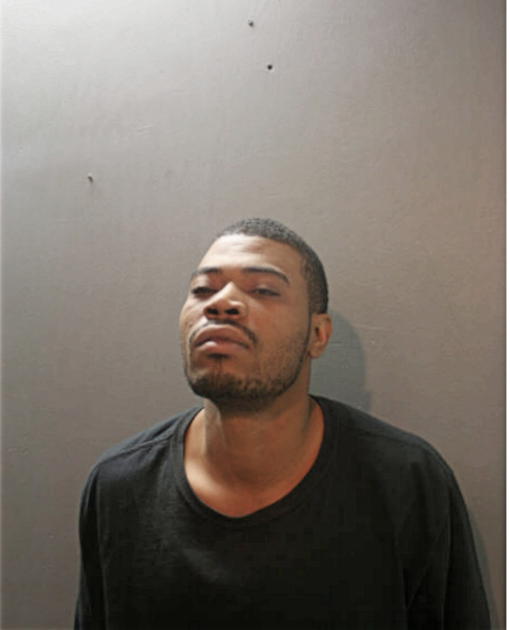 CHRISTOPHER L ELLIS, Cook County, Illinois